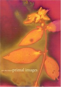 Primal Images: 100 Lumen Prints of Amazonia Flora