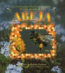 El Ciclo De Vida De La Abeja / Life cycle of the honeybee (Ciclo De Vida / the Life Cycle) (Spanish Edition)
