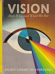 Vision:  How, Why and What We See