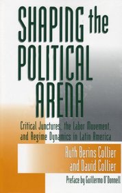 Shaping The Political Arena (KELLOGG INST INT'L S)