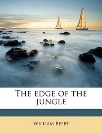 The edge of the jungle