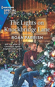 The Lights on Knockbridge Lane (Garnet Run, Bk 3) (Harlequin Special Edition, No 2866)