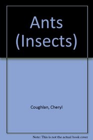 Ants (Insects)