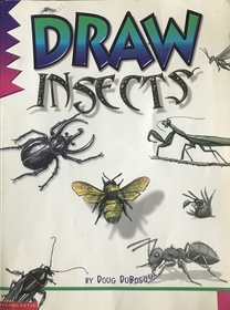 Draw Insects