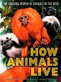 How Animals Live: The Amazing World of Animals in the Wild