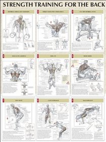 Strength Training Anatomy: Strength Training for the Back Poster