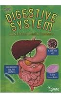 Your Digestive System: Understand It with Numbers (Your Body By Numbers)