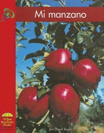 Mi Manzano (Yellow Umbrella Books (Spanish)) (Spanish Edition)
