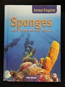 Sponges and Other Minor Phyla (Animal Kingdom)