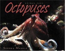 Octopuses (Animal Prey)