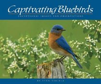 Captivating Bluebirds: Exceptional Images and Observations