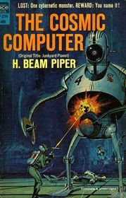 The Cosmic Computer