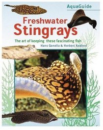 Freshwater Stingray: An In-Depth Survey of These Magnificent Fishes (Aquaguide)