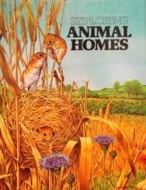 Animal homes (Explorer books)