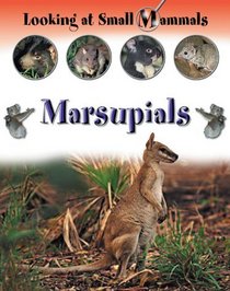 Marsupials (Looking at Small Mammals)