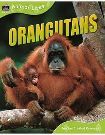 Animal Lives: Orangutans (Qeb Animal Lives)