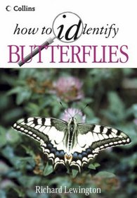 How to Identify Butterflies