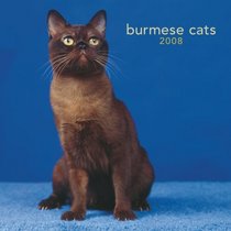 Burmese Cats 2008 Square Wall Calendar (German, French, Spanish and English Edition)