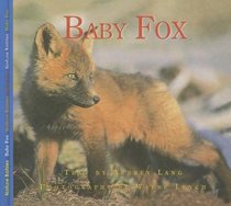 Baby Fox (Nature Babies)