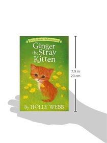 Ginger the Stray Kitten (Pet Rescue Adventures)
