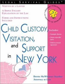 Child Custody, Visitation, and Support in New York (Legal Survival Guides)