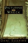Picturing the Wreck