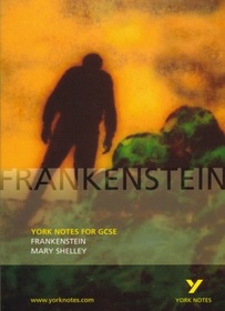 Frankenstein: Study Notes (York Notes)