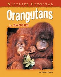 Orangutans in Danger (Wildlife Survival)