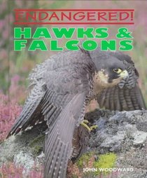 Hawks  Falcons (Endangered)