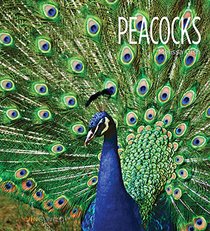 Peacocks (Living Wild)