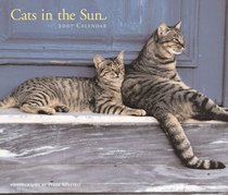 Cats in the Sun 2007 Wall Calendar