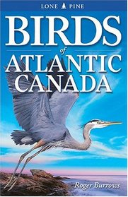 Birds of Atlantic Canada