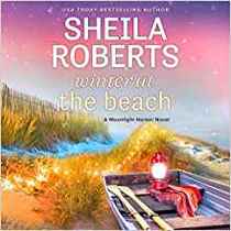 Winter at the Beach: The Moonlight Harbor Series, book 2