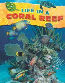 Life in a Coral Reef (Nature in Focus)