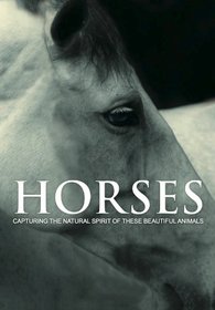 Horses: Capturing the Natural Spirit of These Beautiful Animals