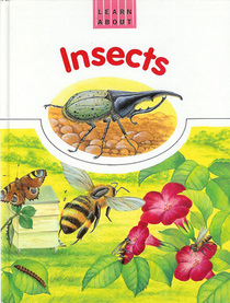 Insects (Learn about)