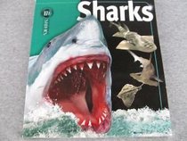 Sharks (Insiders (Simon and Schuster)) {Paperback}