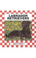 Labrador Retrievers (Dogs Set I)