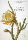 Flower Drawings (Fitzwilliam Museum Handbooks)