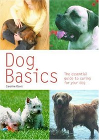 Dog Basics: The Essential Guide to Caring for Your Dog (Pyramid Paperback)