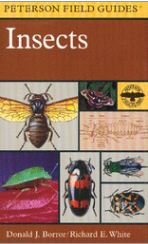 A Field Guide to the Insects of America North of Mexico (Peterson Field Guide Series)