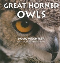 Great Horned Owls (Tony Stead Nonfiction Independent Reading Collections)