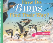 How do birds find their way? (Soar to success)