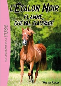 Flamme, Cheval Sauvage (The Island Stallion) (Black Stallion, Bk 4) (French Edition)