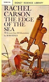 The edge of the sea