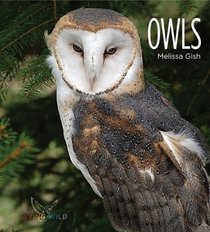 Owls (Living Wild)