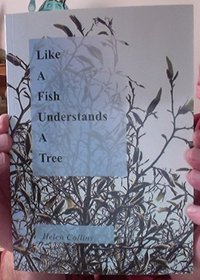 LIKE A FISH UNDERSTANDS A TREE
