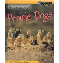 A Colony of Prairie Dogs (Animal Groups)