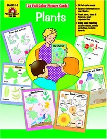 Plants /Picture Cards (24 Cards)
