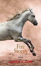 Fire Storm (One Dollar Horse, Bk 3) (German Edition)